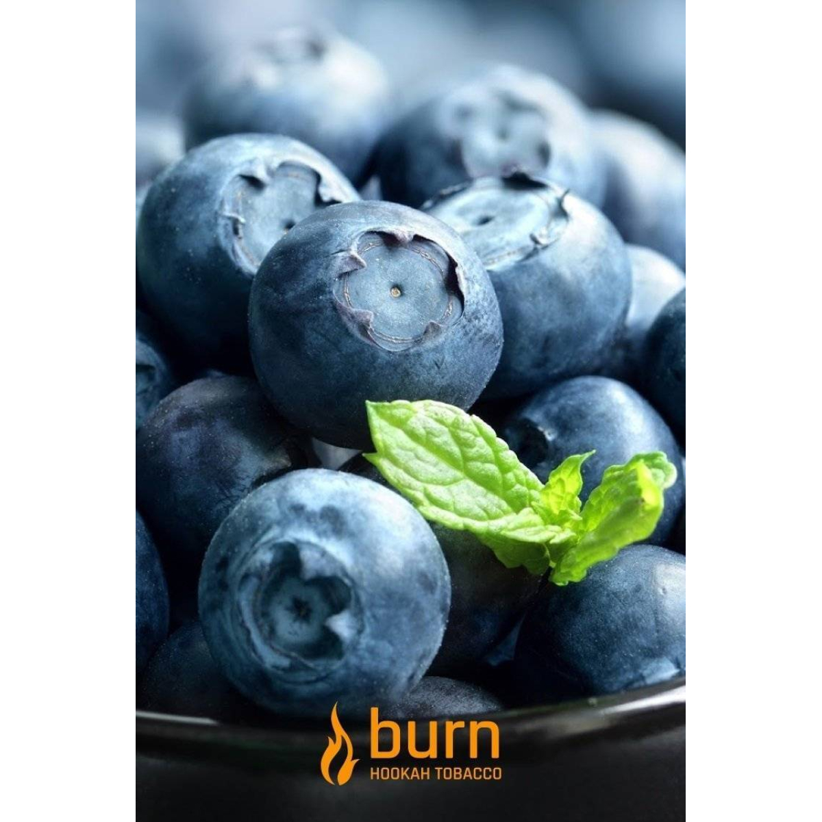 Табак Burn Blueberry Mint 100 грамм