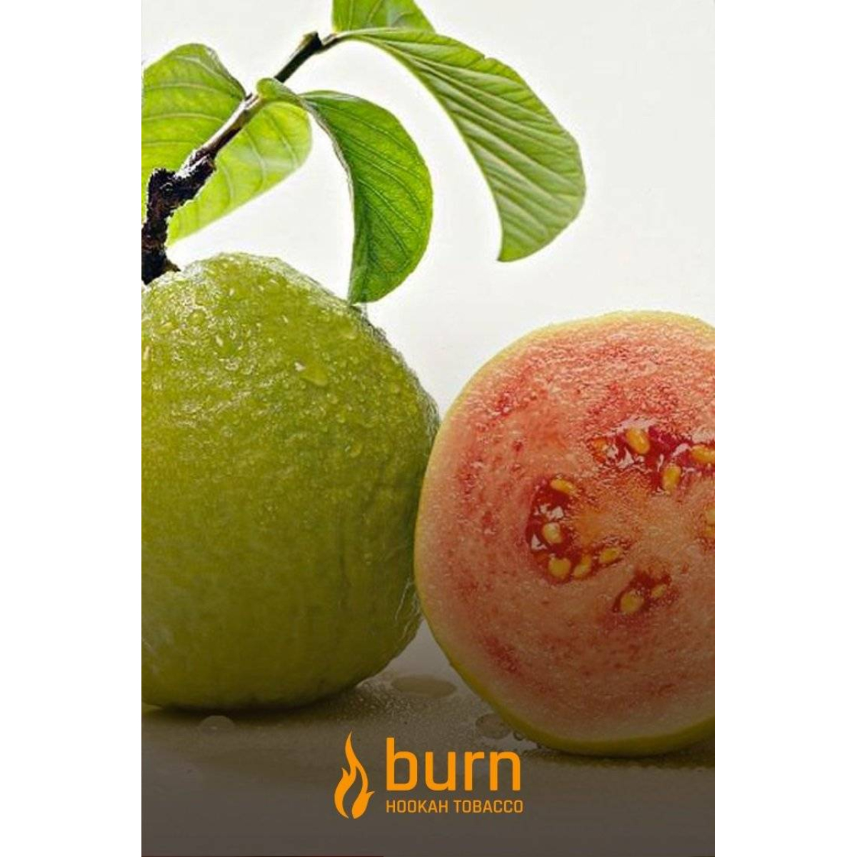 Табак Burn Guava 100 грамм