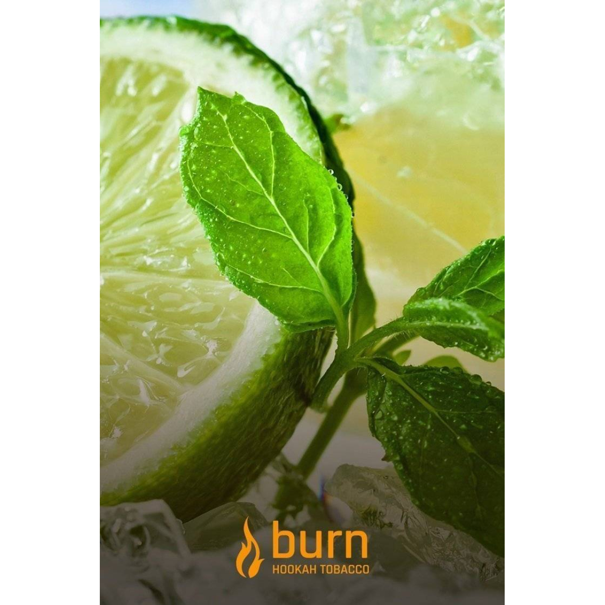Табак Burn Lemon Mint 100 грамм