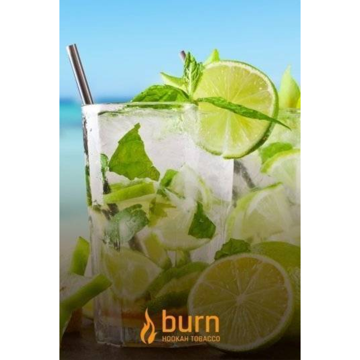 Табак Burn Mojito 100 грамм