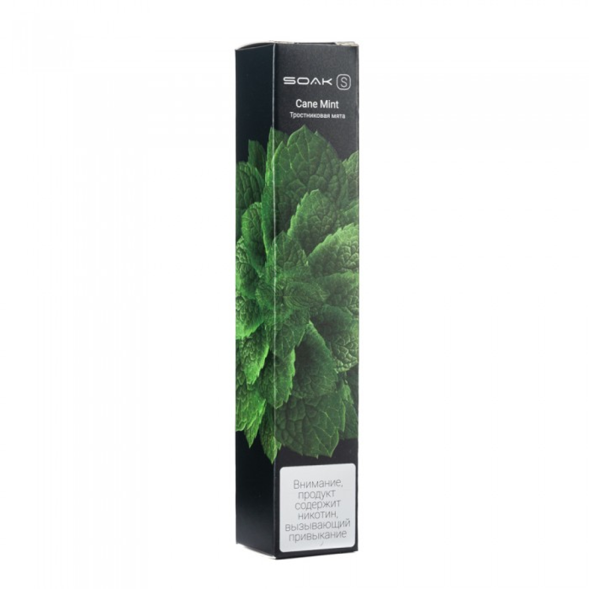 SOAK S Cane Mint (Тростниковая мята), 2500 тяг