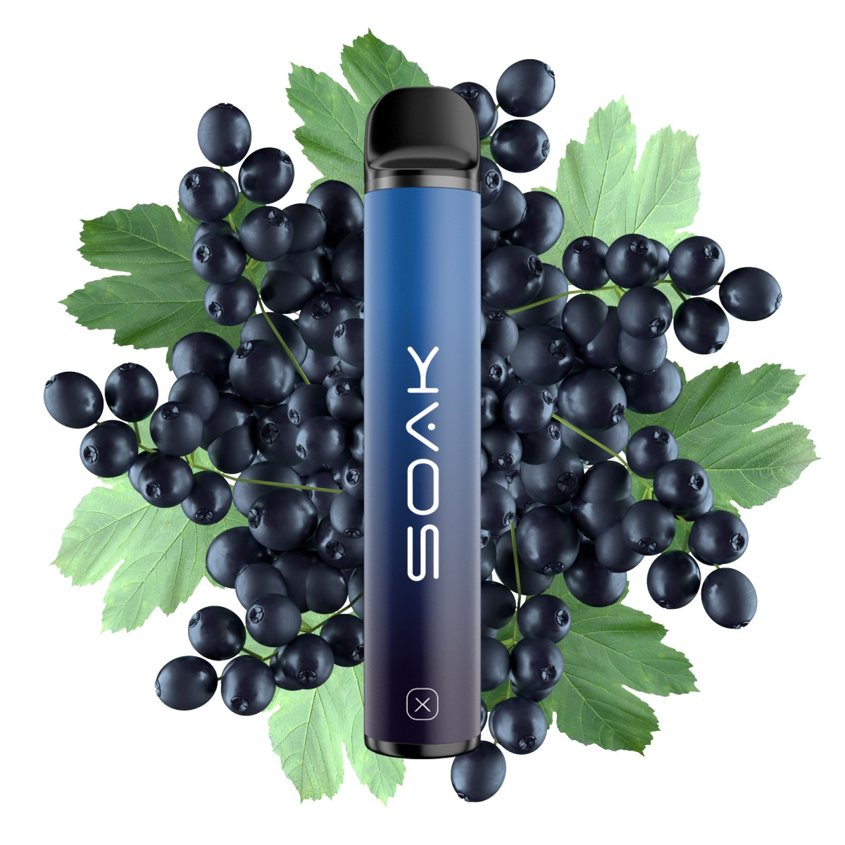 SOAK X Forest Blackcurrant (Лесная черная смородина), 1500 тяг