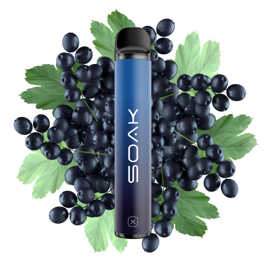 SOAK X Forest Blackcurrant (Лесная черная смородина), 1500 тяг
