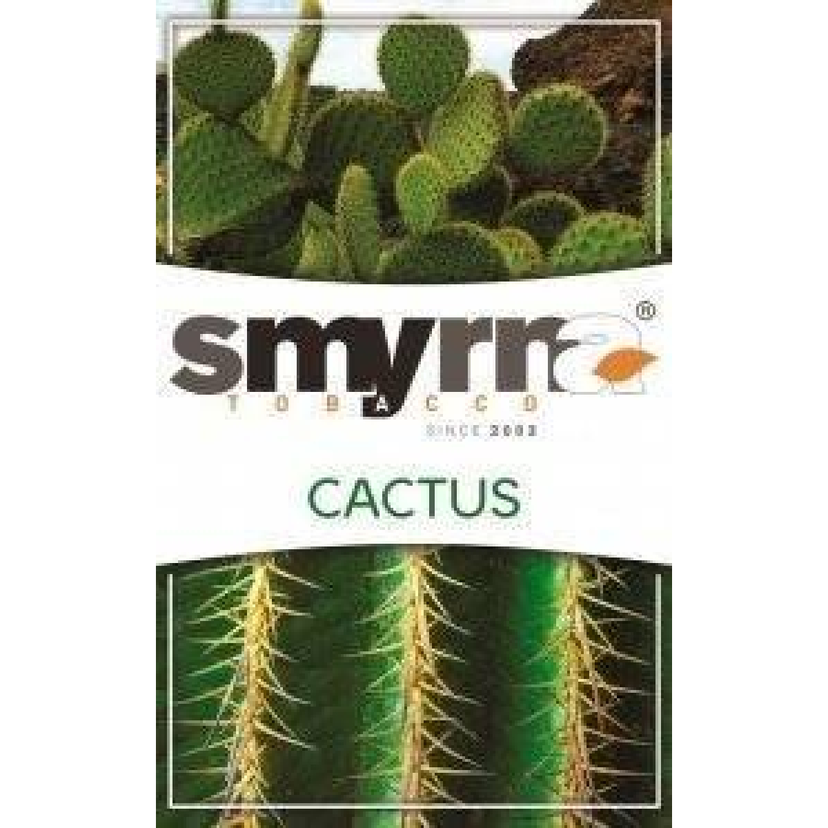 Табак Smyrna Cactus 50 грамм