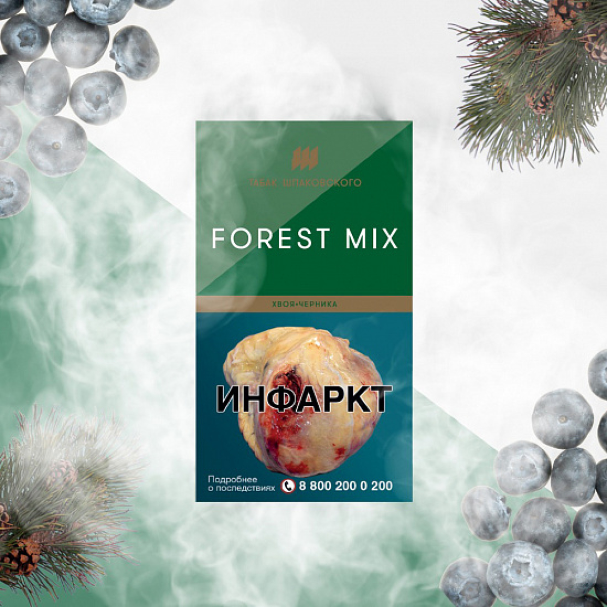 Табак Шпаковского Forest (Хвоя Черника) 40 грамм