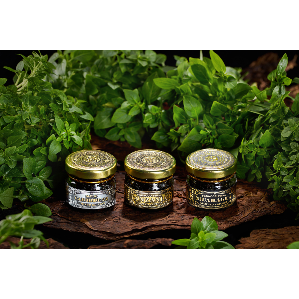 Табак WTO CARIBBEAN BLEND CB30 Базилик 20 грамм